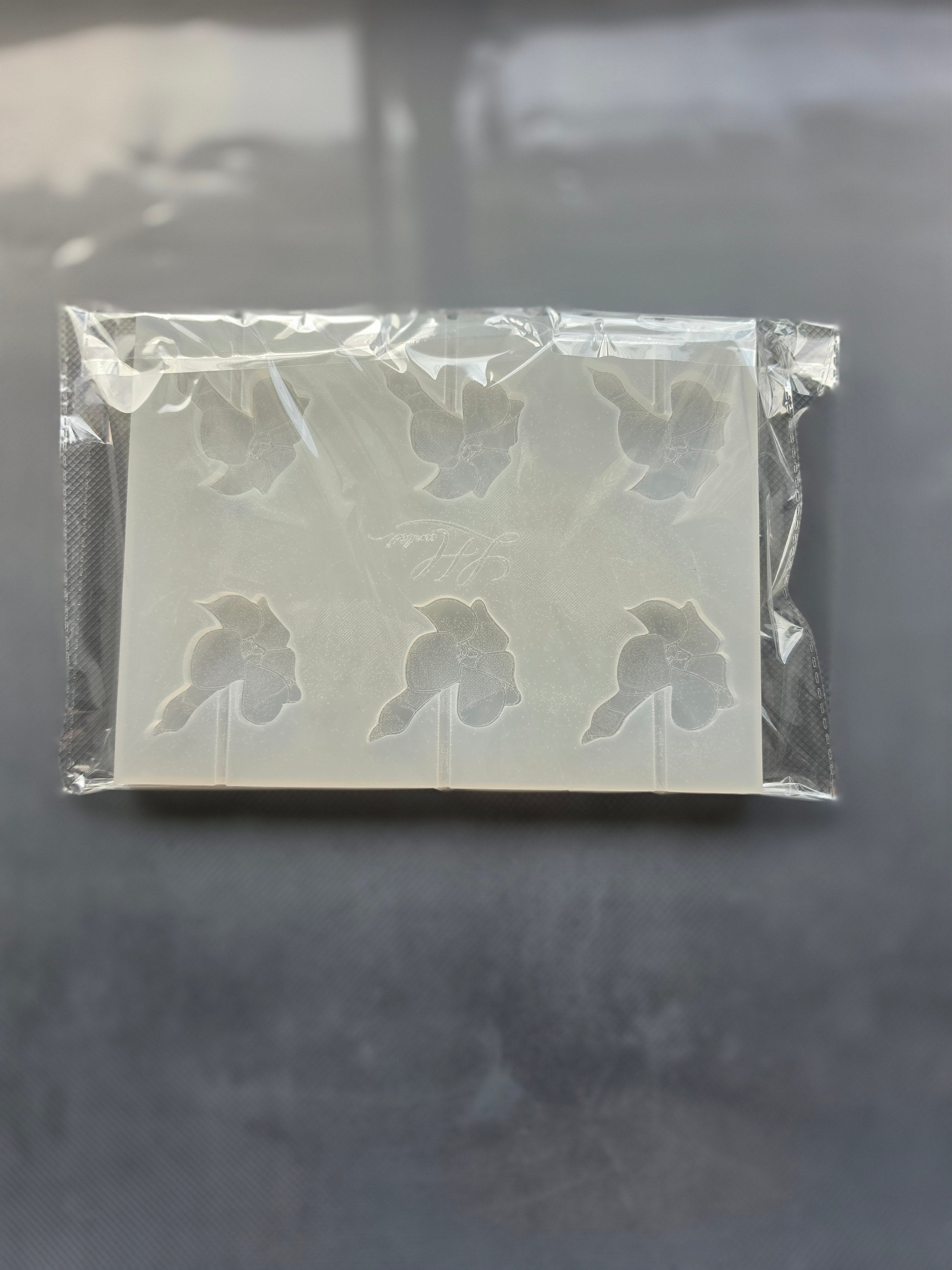 Silicone Mold